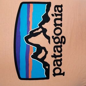 Men's Patagonia T-shirt